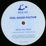 Feelgood Factor - Love Is What You Need