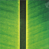 Fahmi Mursyid - One Instrument Sessions