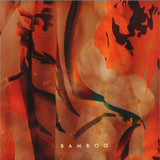 LADS - Bamboo
