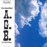 Electrified A.G.B. - Fly Away EP