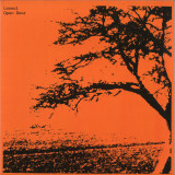 Losoul - Open Door 2x12"