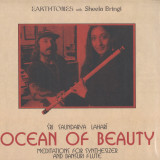 Earthtones with Sheela Bringi - Ocean Of Beauty: Meditations For Synthesizer & Bansuri Flute