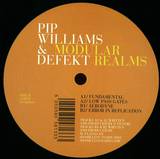 Various - Modular Realms