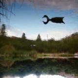 Tomu DJ - Antagonist LP