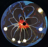 Ebi - Space Teddy Ep