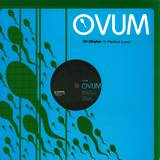 Dj Stryke - Perfect Love