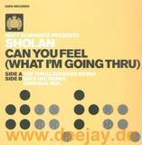 Sholan - Can You Feel *2*