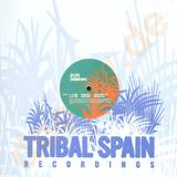 Dj Leo - Calipdrums
