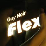 Guy Noir - Flex
