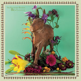 Sir Richard Bishop & Ed Yazijian - Sir Richard Bishop & Ed Yazijian