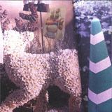 LAILA SAKINI - VIVIENNE LP