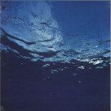 Akira Ito - Marine Flowers