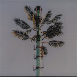 DJ Balduin - Concrete Mimosa 2x12"