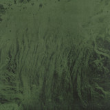 George Heerd - Transition Ep