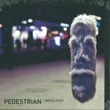 Pedestrian - Hoyle Road