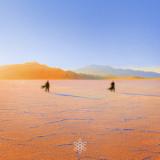 PRAANA - INSIGHT OUT (2x12")