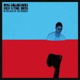 Noel Gallaghers High Flying Birds - In The Heat Of The Moment