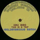 Kev Bird - This Is A Trip