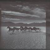 Oikos - The Great Upheaval