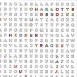 Charlotte Bendiks - Hidden Tracks Ep