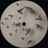 Simon Halsberghe - 2