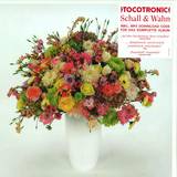 Tocotronic - Schall Und Wahn