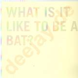100 Records - What Is It Like To Be A Bat