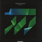 Teenage Mutants - Mistake EP
