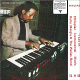 Hailu Mergia and the Walias Band - Tezeta