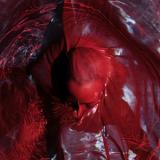 BLACKWATER HOLYLIGHT - NOT HERE NOT GONE