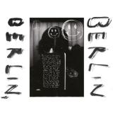 Fionn Regan - Berlin, Berlin LP