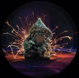 Flava D - Fabriclive 88: 10" Sampler