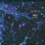 62nd Cell - Keep Expanding