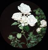 Various ( Hansel! / Unknown Artist / Koko &amp; Niccolo Borgi / Adam Strömstedt - Bpbl01.2