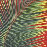 Poolside - Contact High