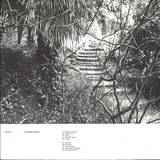 Echium - Synthetic Space