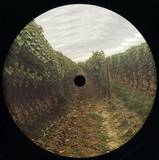 Pipholp - Rue Räle 01