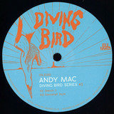 Andy Mac - Diving  Bird 3