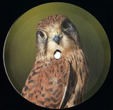 Nvelope, Narcotic 303 - Episode Four