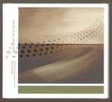 Brian Eno - Small Craft On A Milk Sea
