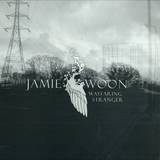 Jamie Woon - Wayfaring Stranger