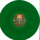 Mihai Popoviciu - Echo Audio