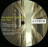 Sistrum - Vol.19