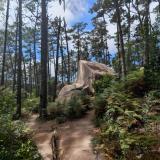 Parajekt - Parajekt LP