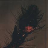 Helm & Decimus - We Will Meet At Other Human Parties