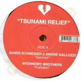 Tsunami Relief - Va 2x12"