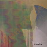 Thomas Brinkmann - Lucky Hands 3x12"