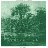 MOLERO - FICCIONES DEL TRÓPICO