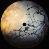 Andrea Ferlin & Fabio Caria , Claudio PRC - Senua