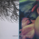 Cubicolor - Sometime Not Now LP 2x12"